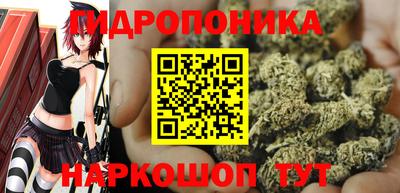 бошки Берёзовский