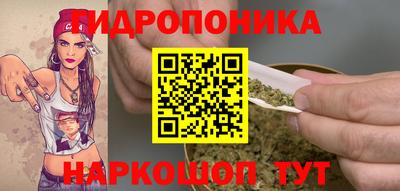 ПСИЛОЦИБИНОВЫЕ ГРИБЫ Бийск
